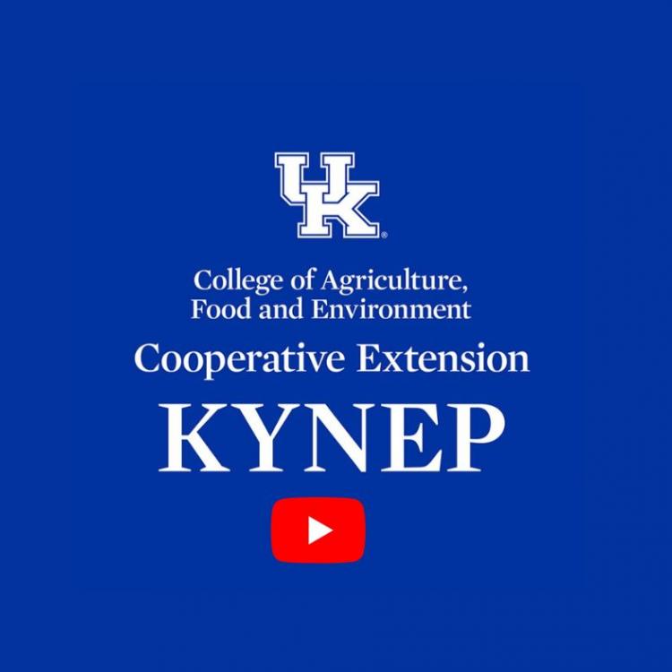  KYNEP YOTUBE